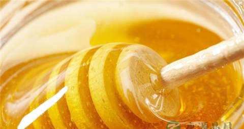 蜂蜜和洋葱能一起吃吗