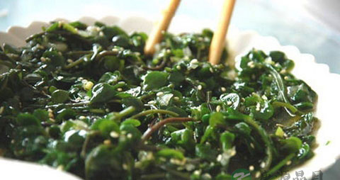 马齿苋怎么做不会发酸