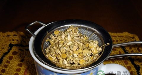 菊花茶可以天天喝吗 菊花茶可以天天喝吗