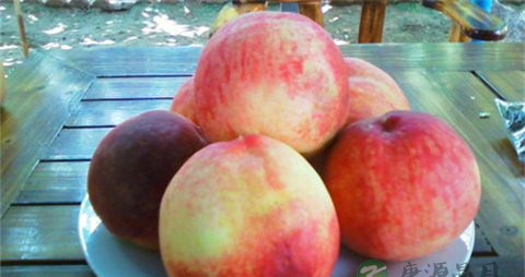 白粉桃的吃法_哪些人不能吃白粉桃