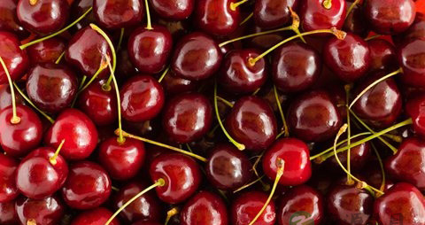 樱桃车厘子怎么分