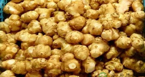 菊芋的营养价值_吃菊芋的好处 菊芋的营养价值_吃菊芋的好处