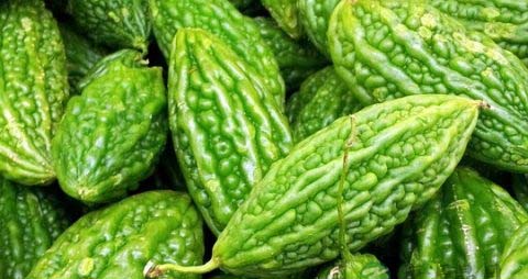 苦瓜和什么煲汤