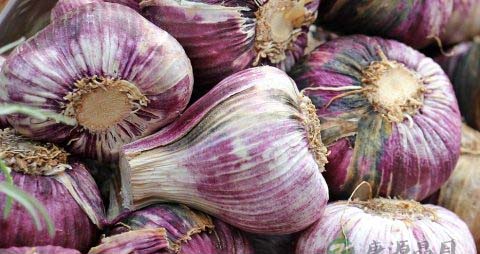 怎么卤鸭 怎么卤鸭