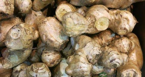 生姜怎么保存才不会发芽