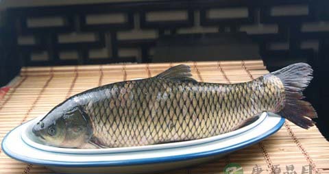草鱼肠的营养价值_吃草鱼肠的好处