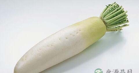 红萝卜和什么煲汤 红萝卜和什么煲汤