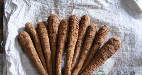 白芷的营养价值_吃白芷的好处