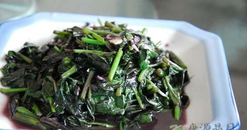 观音菜的吃法_哪些人不能吃观音菜