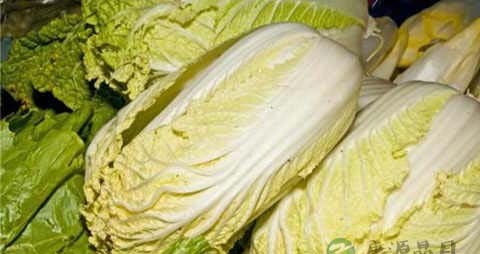 普通白菜的吃法_哪些人不能吃普通白菜