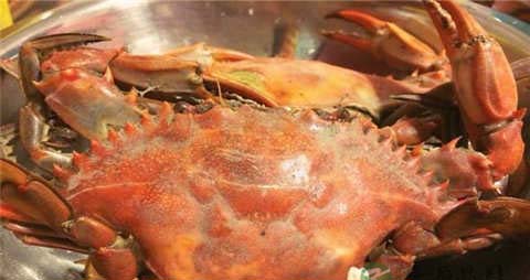 蒸螃蟹需要多长时间间 蒸螃蟹需要多长时间间