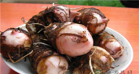 芋艿的吃法_哪些人不能吃芋艿