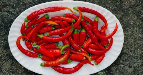 辣椒油配方