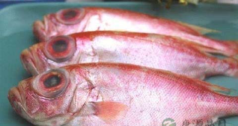 大目鱼的营养价值_吃大目鱼的好处 大目鱼的营养价值_吃大目鱼的好处
