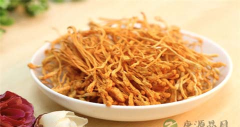 挑选虫草花的诀窍