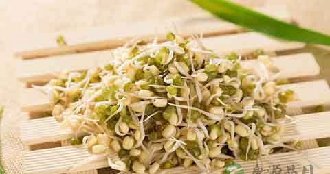绿豆芽的吃法_哪些人不能吃绿豆芽