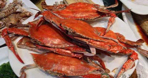 梭子蟹的营养价值_吃梭子蟹的好处 梭子蟹的营养价值_吃梭子蟹的好处