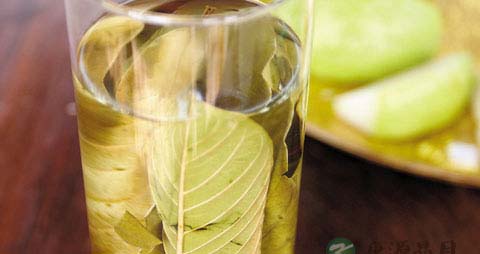 番石榴叶怎么吃降血糖