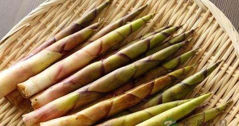 苦笋怎么做才不苦 苦笋怎么做才不苦