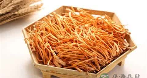 挑选虫草花的诀窍