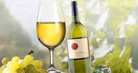 白葡萄酒的吃法_哪些人不能吃白葡萄酒 白葡萄酒的吃法_哪些人不能吃白葡萄酒