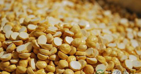 桃豆的营养价值_吃桃豆的好处 桃豆的营养价值_吃桃豆的好处