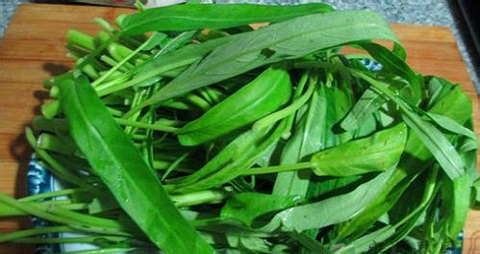 空心菜怎么保鲜