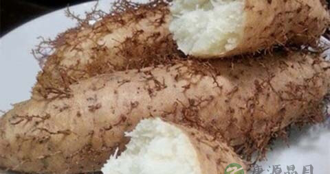 毛薯的吃法_哪些人不能吃毛薯