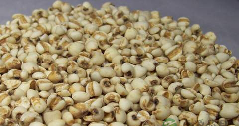 苡米的营养价值_吃苡米的好处