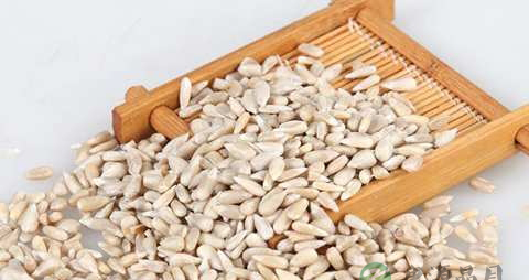 西瓜子仁的营养价值_吃西瓜子仁的好处