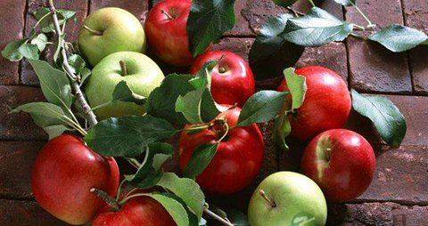 苹果切开后怎么保存