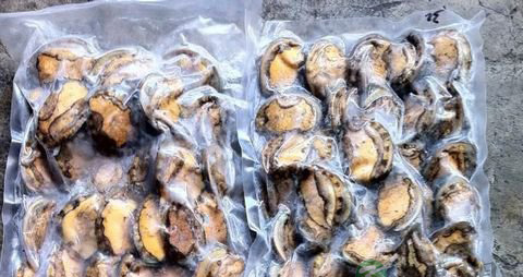 冷冻鲍鱼怎么处理