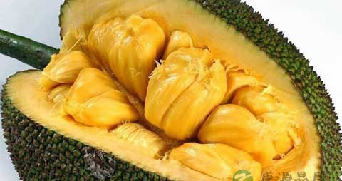 菠萝蜜的吃法_哪些人不能吃菠萝蜜