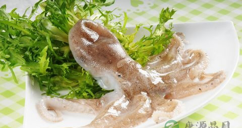 八爪鱼的吃法_哪些人不能吃八爪鱼