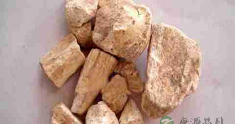 龙骨的营养价值_吃龙骨的好处