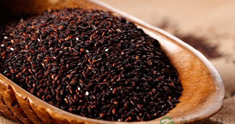 紫糯米的营养价值_吃紫糯米的好处