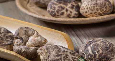 冬菇的营养价值_吃冬菇的好处 冬菇的营养价值_吃冬菇的好处