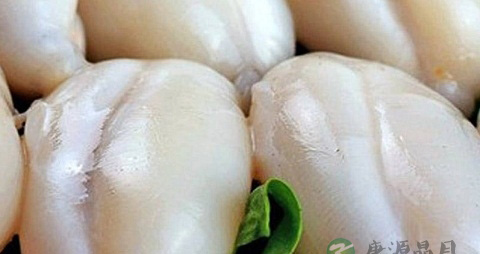 乌鱼蛋的营养价值_吃乌鱼蛋的好处 乌鱼蛋的营养价值_吃乌鱼蛋的好处