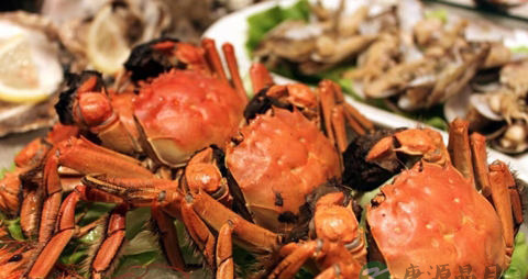 怎么样煮螃蟹不掉脚