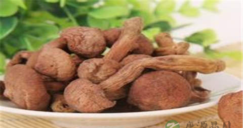 红蘑的吃法_哪些人不能吃红蘑