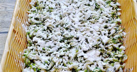 槐花的吃法_哪些人不能吃槐花