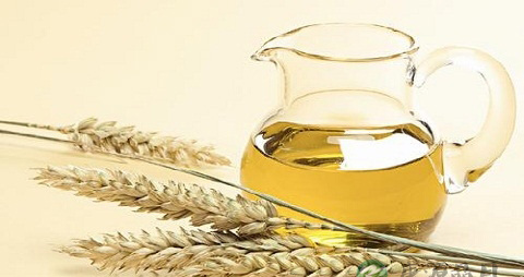 小麦胚芽油的营养价值_吃小麦胚芽油的好处