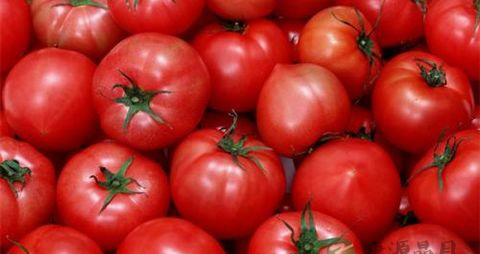 西红柿怎么切最好看 西红柿怎么切最好看