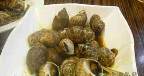 黄螺的营养价值_吃黄螺的好处
