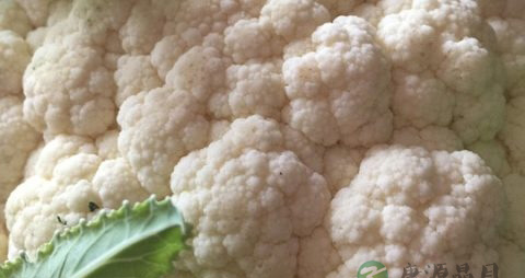 花菜一定要焯水吗 花菜一定要焯水吗