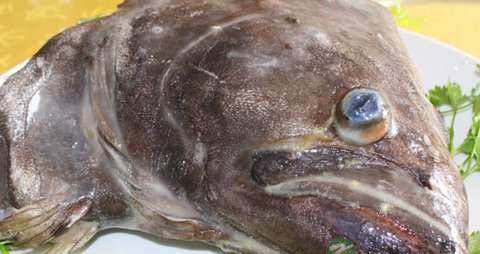 碟鱼头的营养价值_吃碟鱼头的好处