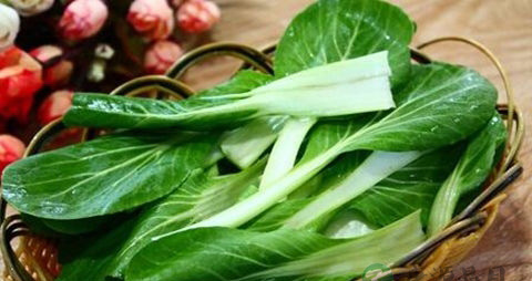 苔菜的吃法_哪些人不能吃苔菜