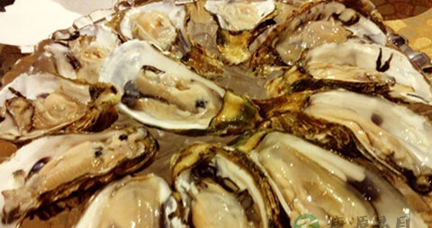 生蚝怎么打开