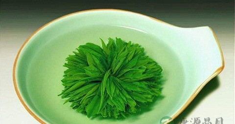 绿牡丹的营养价值_吃绿牡丹的好处 绿牡丹的营养价值_吃绿牡丹的好处