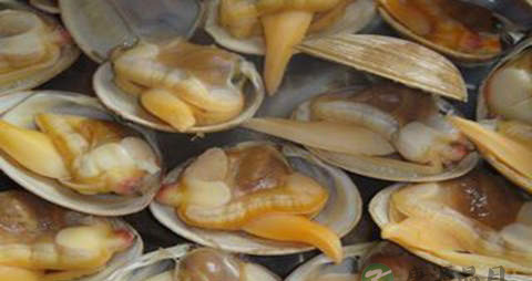 麻蚬子的营养价值_吃麻蚬子的好处
